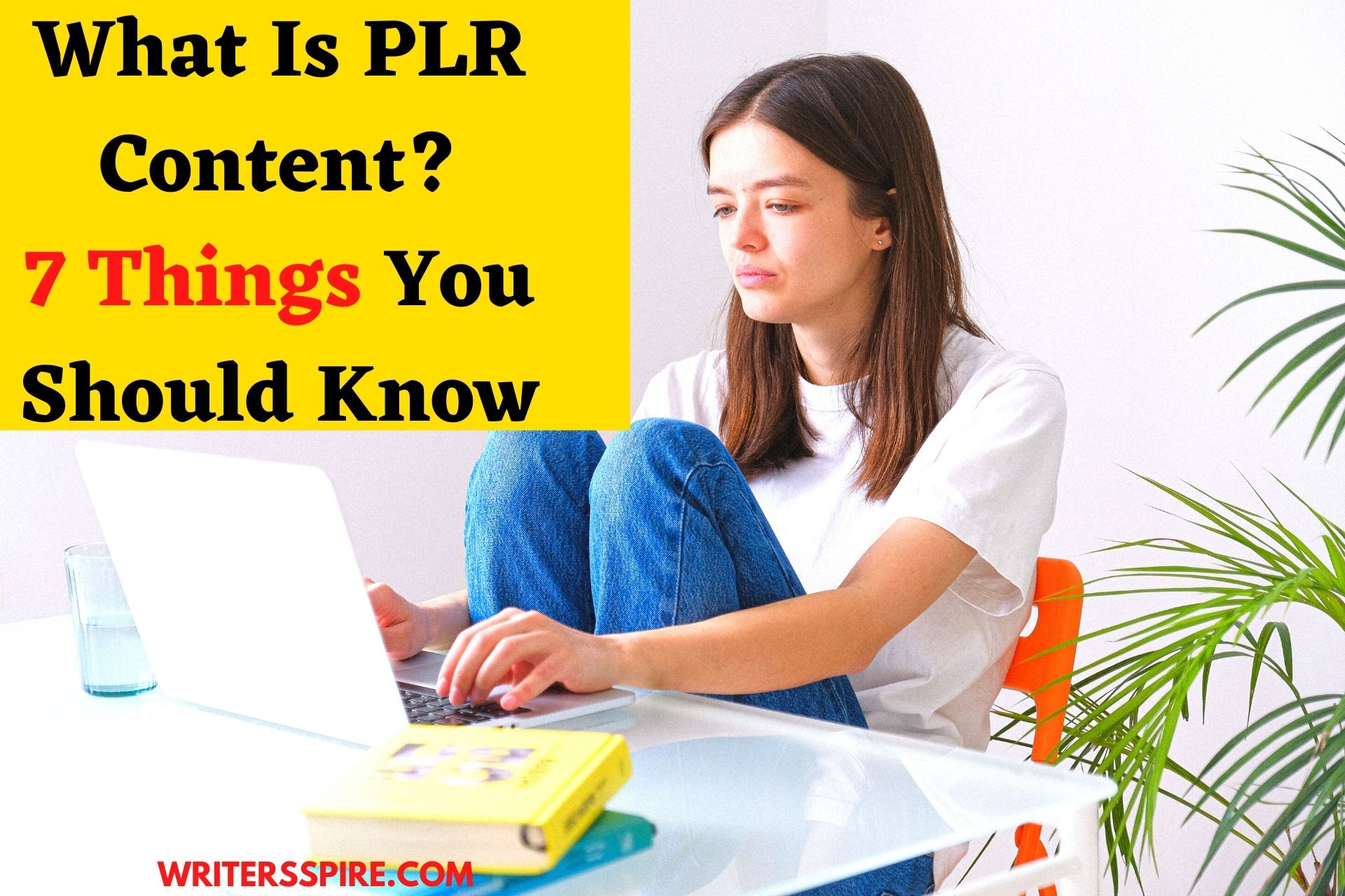 What is PLR Content?